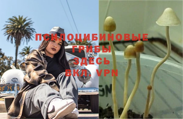 MDMA Баксан