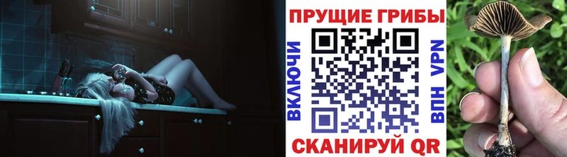 магазин  наркотиков  Белый  Галлюциногенные грибы прущие грибы 